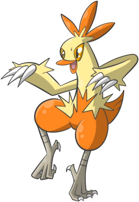 combusken type|Combusken .